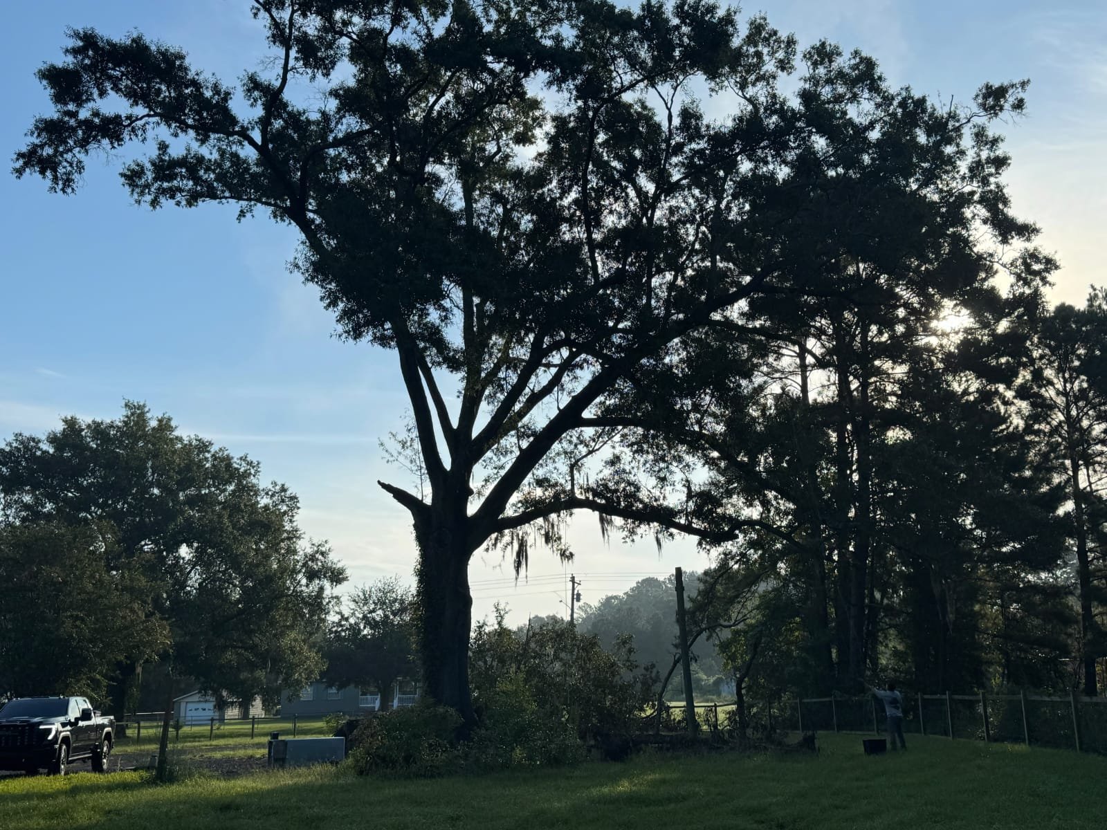 Lion Tree Service and Landscaping LLC project photo 53